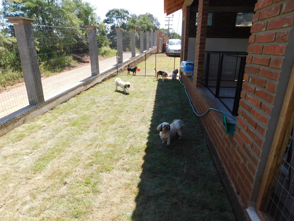 patio 1