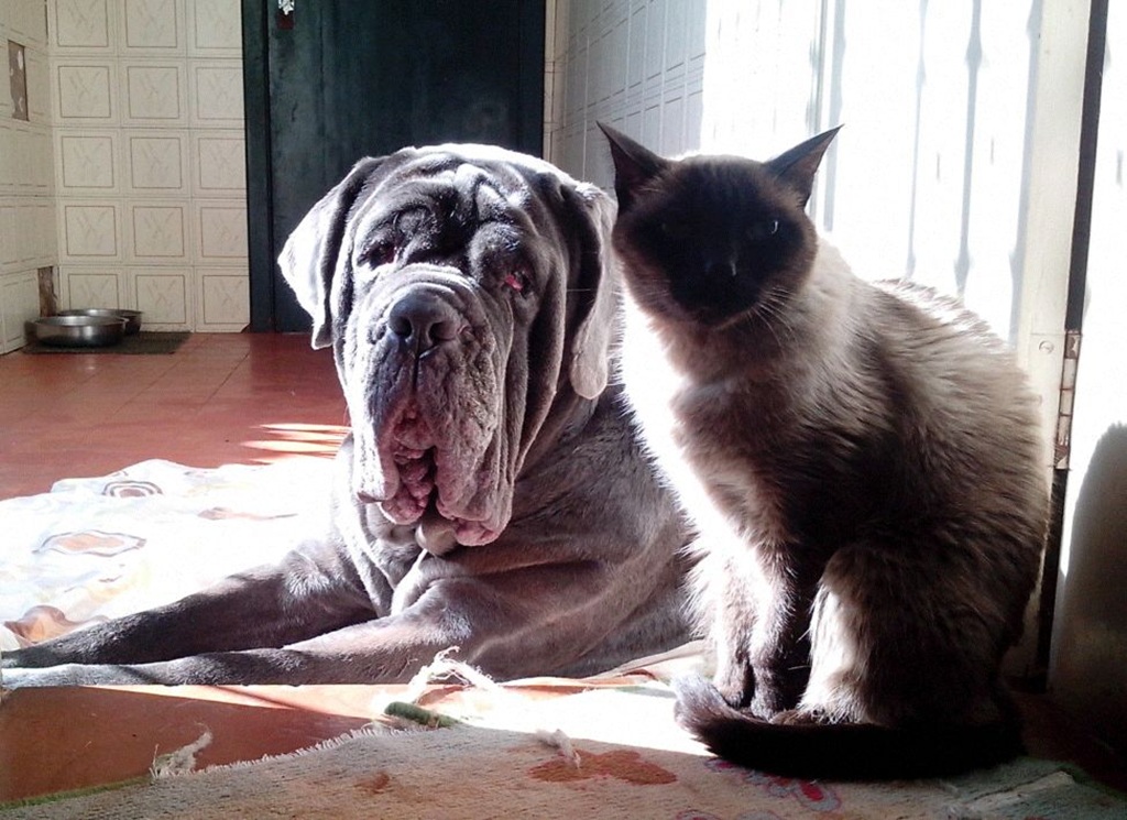 zeus e fredo