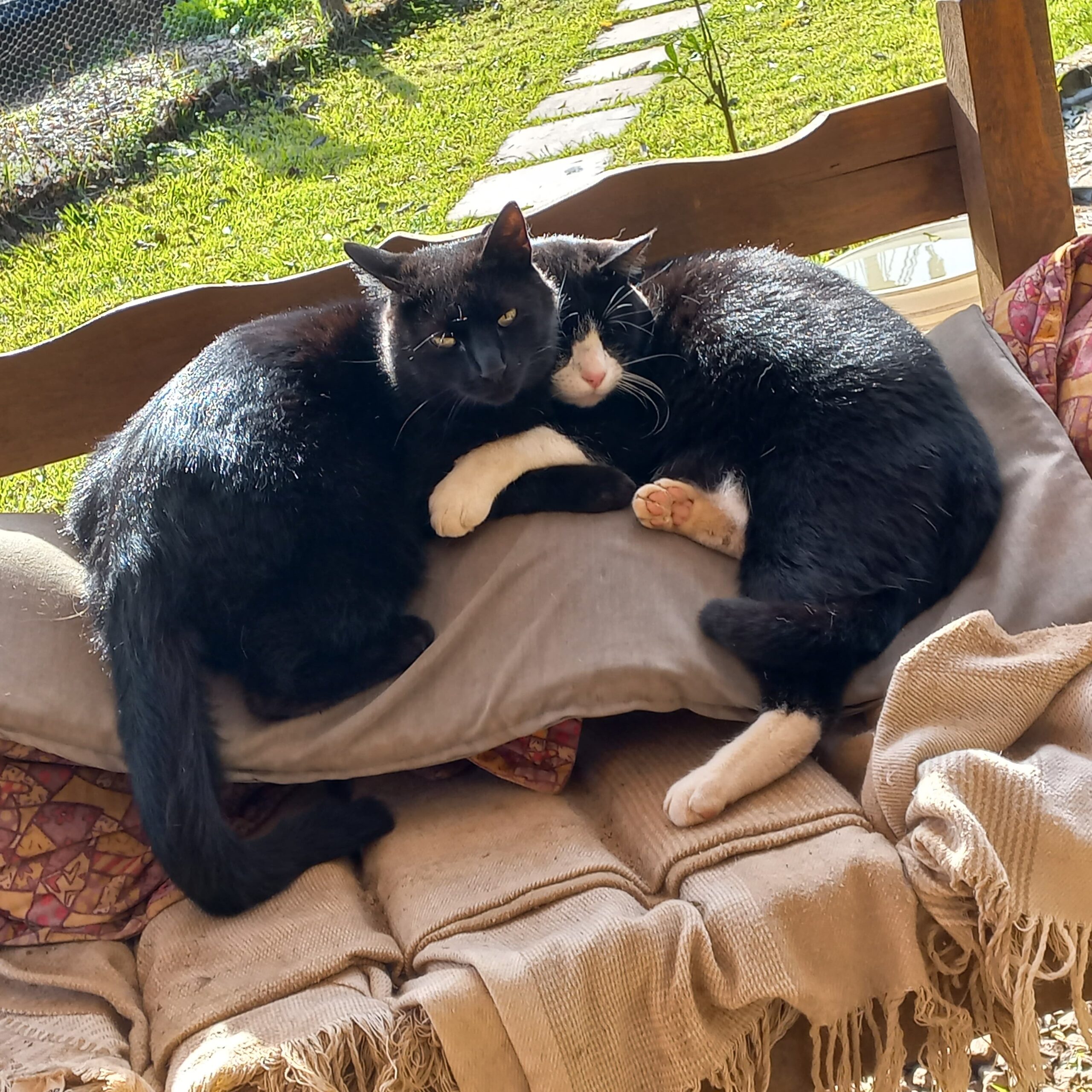 WhatsApp Image 2025-06-26 at 22.51.51