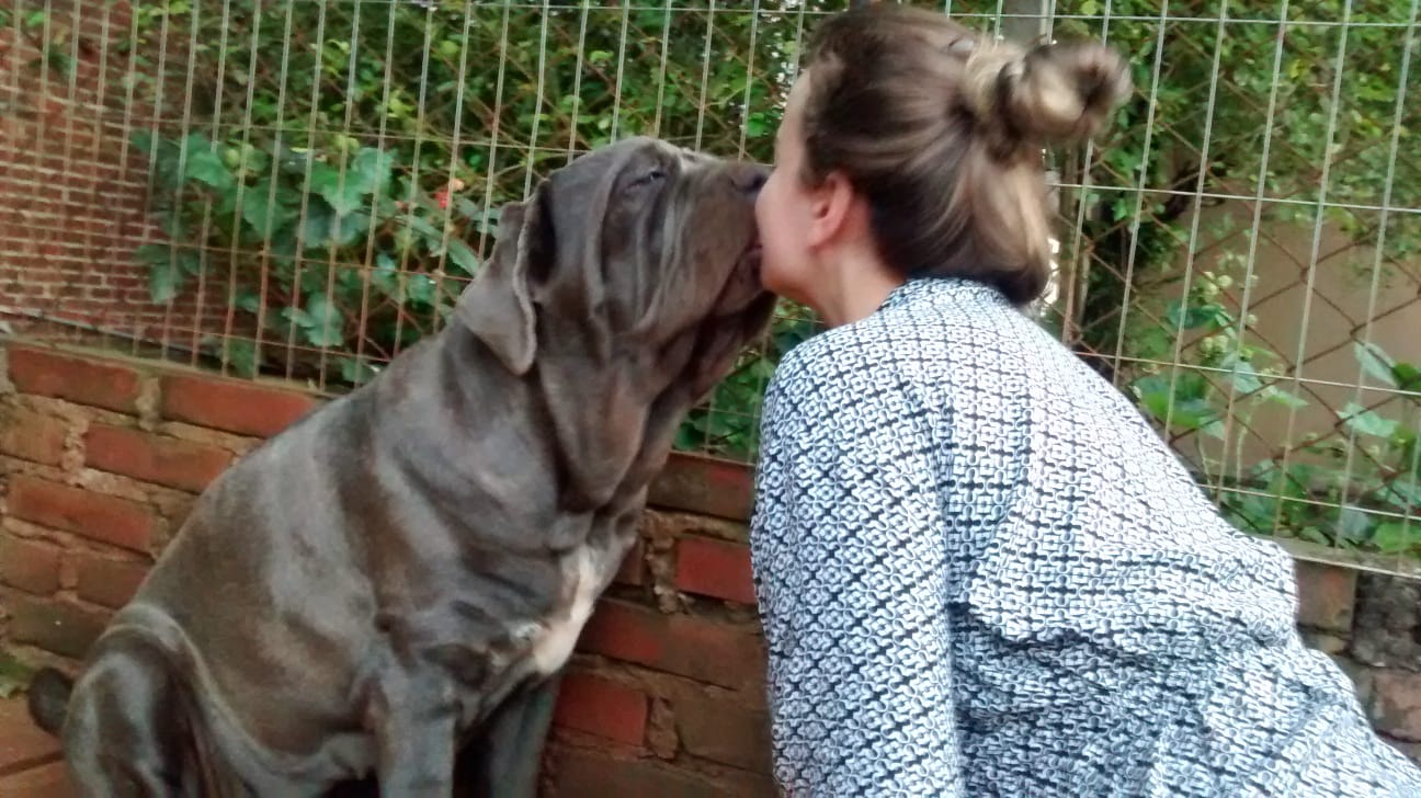 WhatsApp Image 2025-06-26 at 22.51.52 (1)