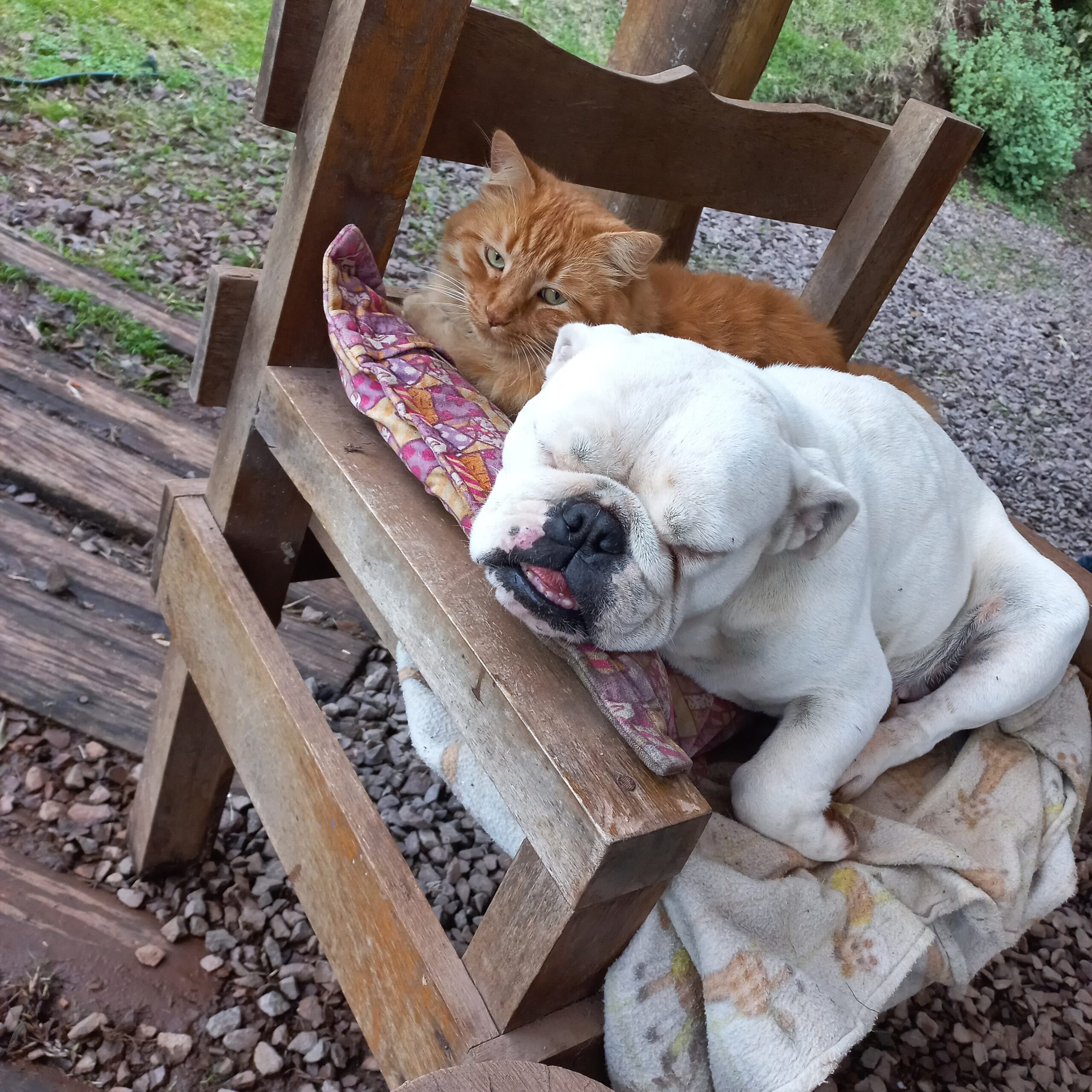 WhatsApp Image 2025-06-26 at 22.51.52